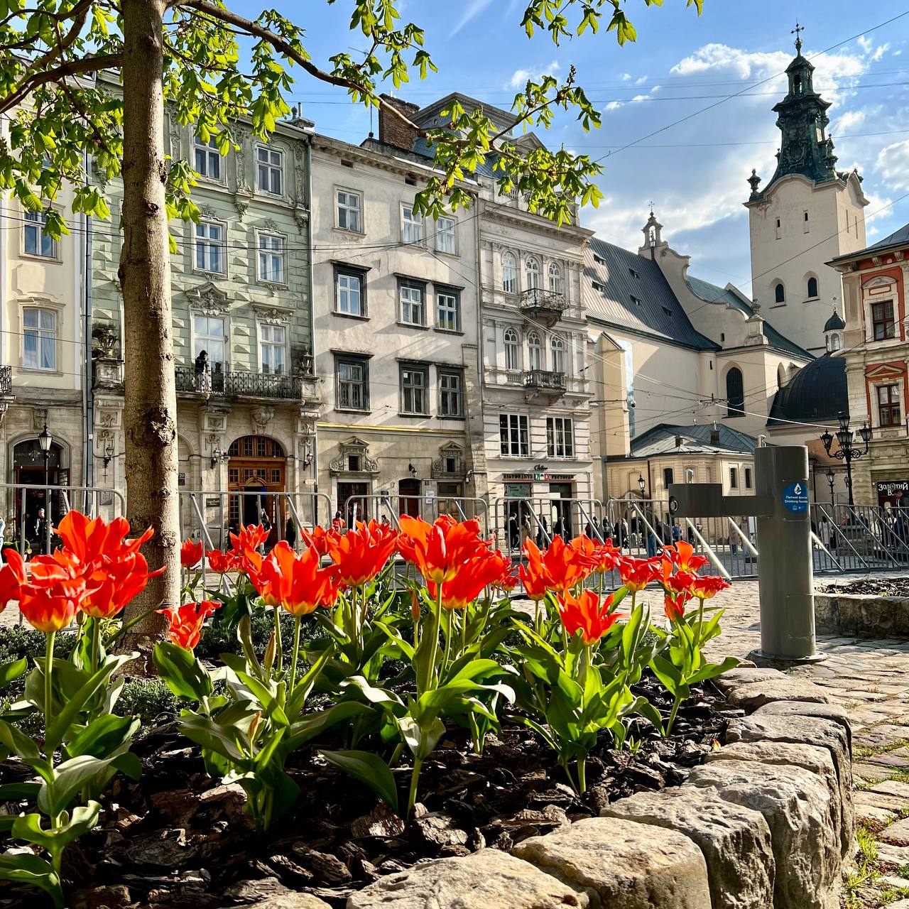 Фото дня: десятки тисяч тюльпанів, подаровані місту Нідерландами, заквітли у Львові.