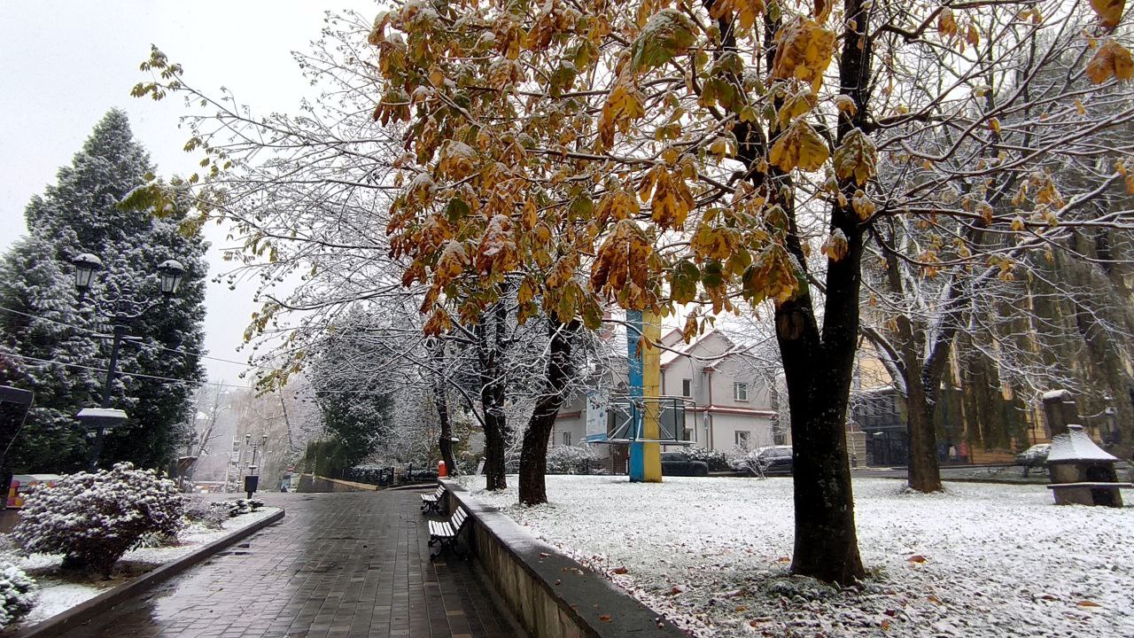 18 листопада у Львівській області випав перший сніг.