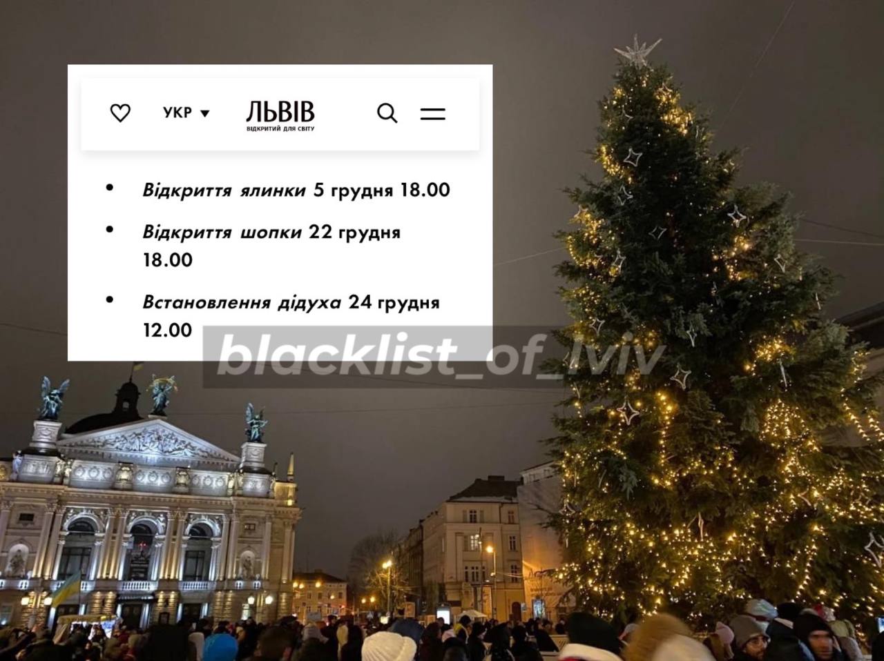 Коли у Львові відкриють головну ялинку міста — символ 2024 року - Львів ...