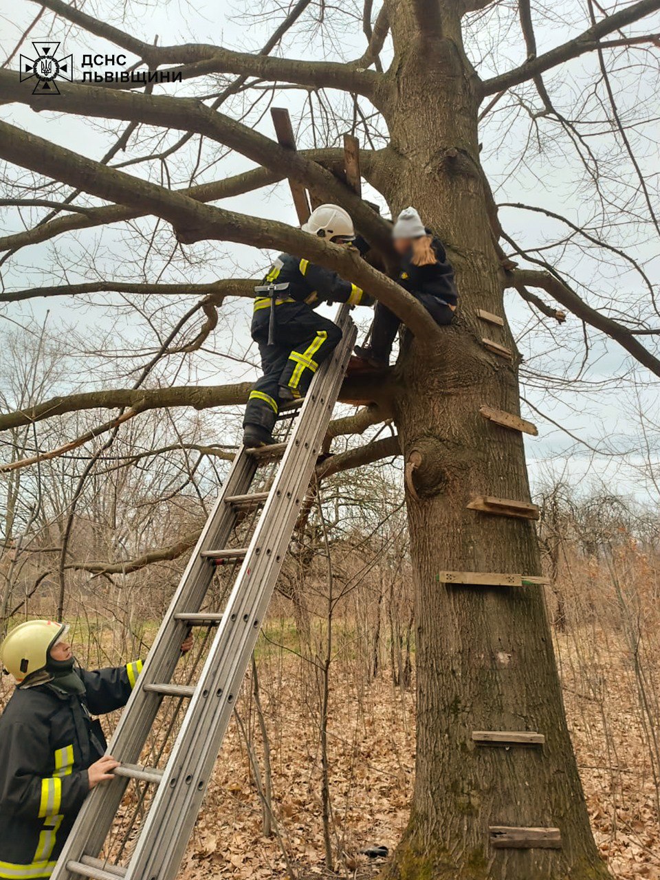 У Стебнику рятувальники визволили дитину з саморобної хатинки на дереві.