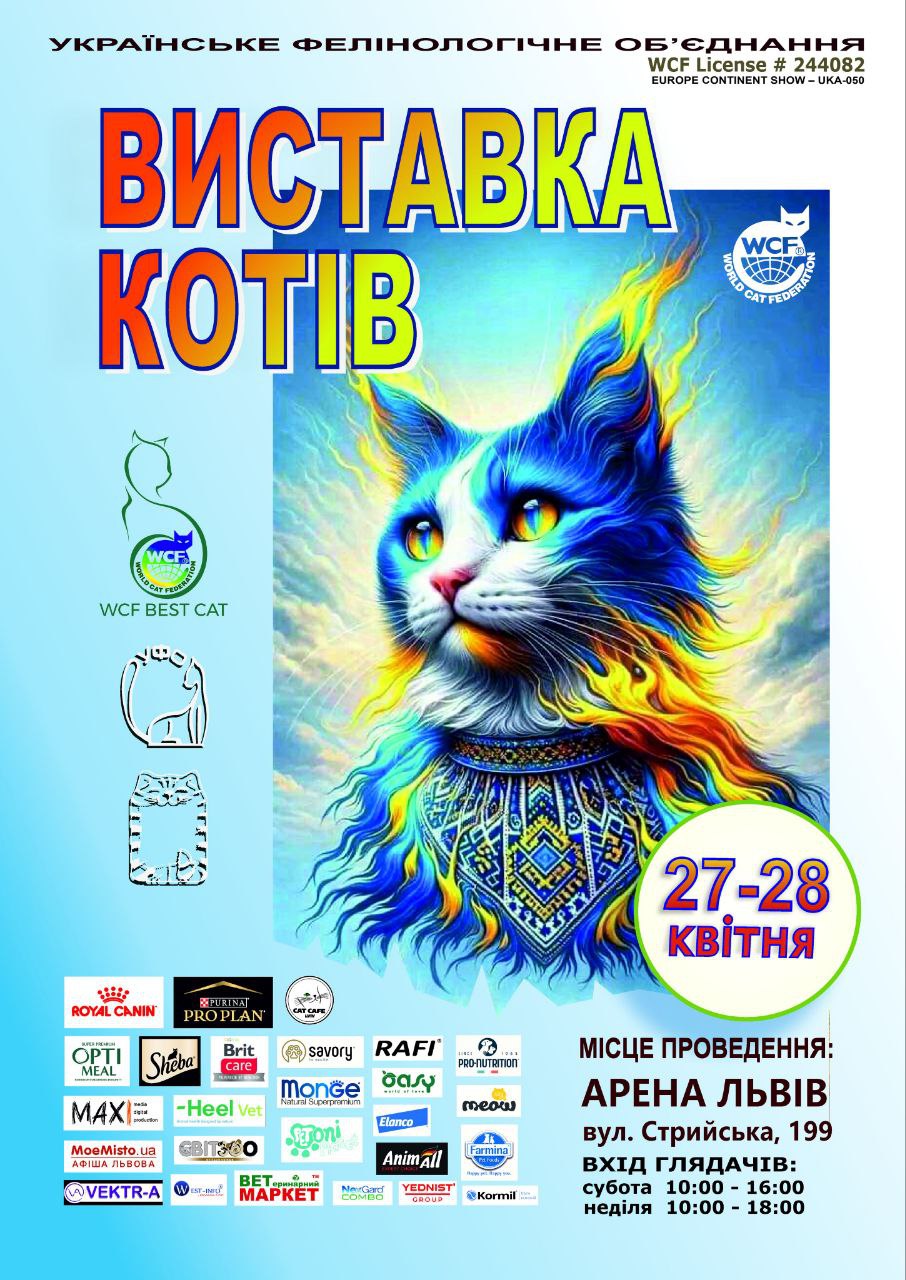 Міжнародна виставка котів у Львові.