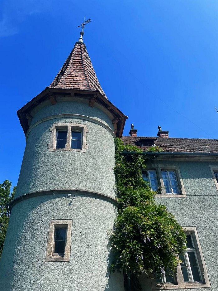 Таємничий замок Шенборнів у Карпатах: що цікавого подивитися і як доїхати зі Львова.