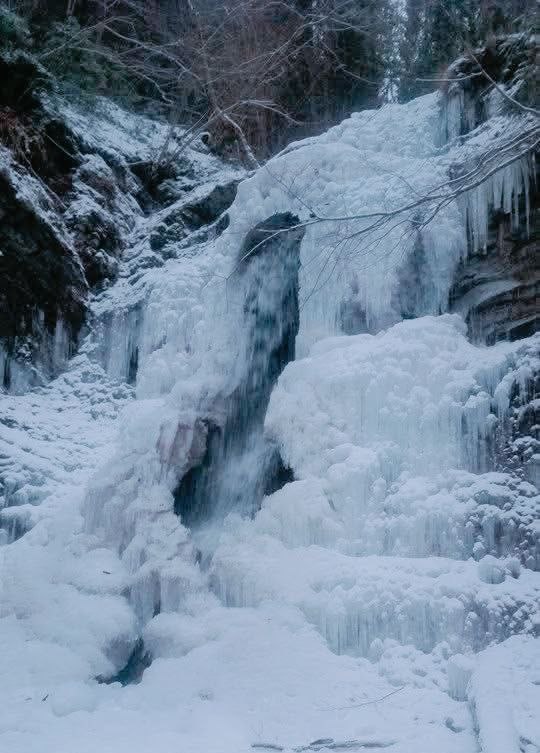 Водоспал Лазний.