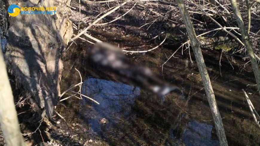 З водойми на Львівщині витягли тіло військового.