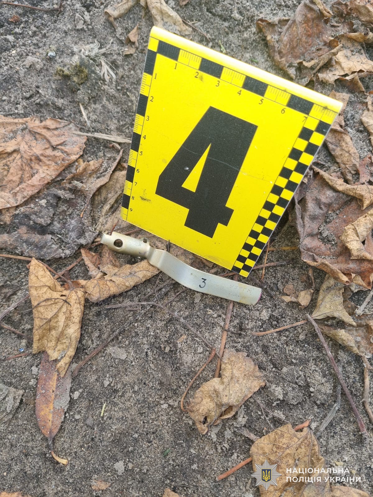 Під час вуличного конфлікту У Бродах чоловік підірвав гранату.