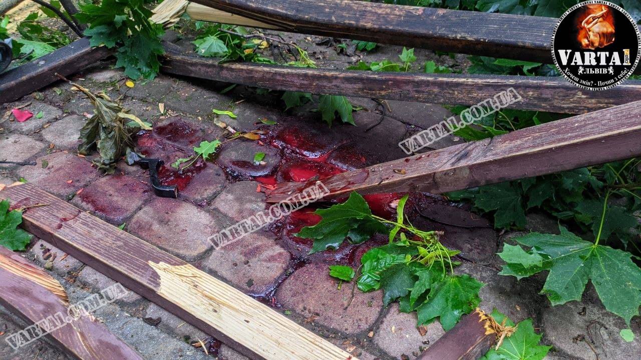 Внаслідок падіння дерева у Стрийському парку у Львові загинув курсант Львівської військової академії Андрій Свояк. Фото: Варта 1