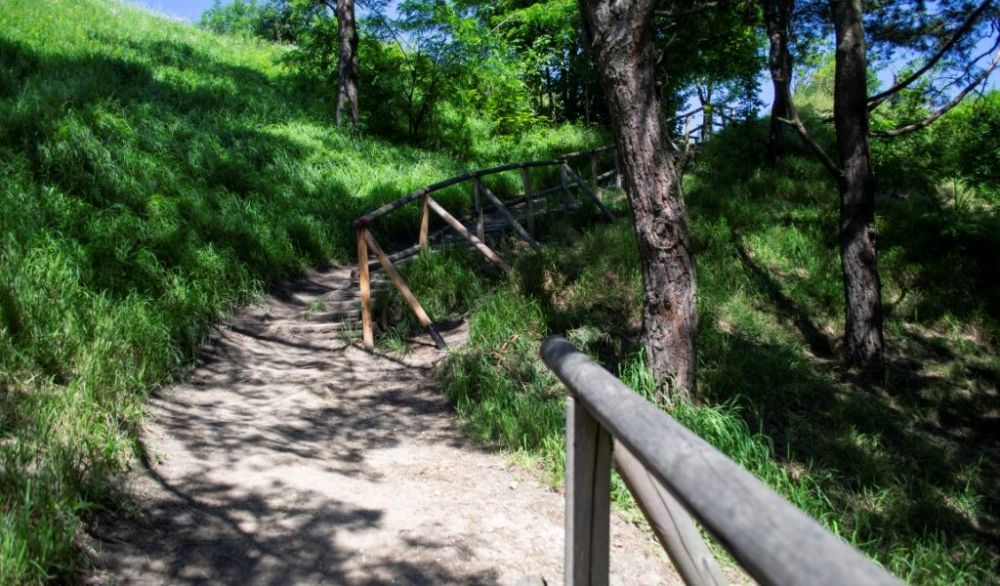 Зупинка №&thinsp;3. Дно Міоценового моря на горі Лева. Фото: Львівська міськрада.