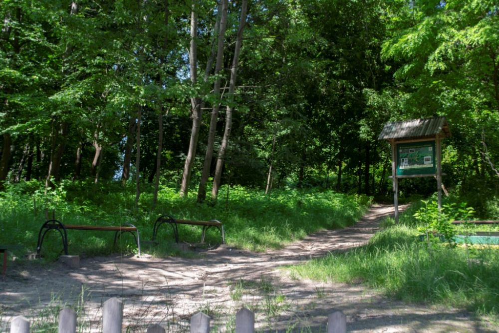 Зупинка №&thinsp;1. &laquo;Маршрут здоров&rsquo;я&raquo; &mdash; єдиний у Львові та на заході України.