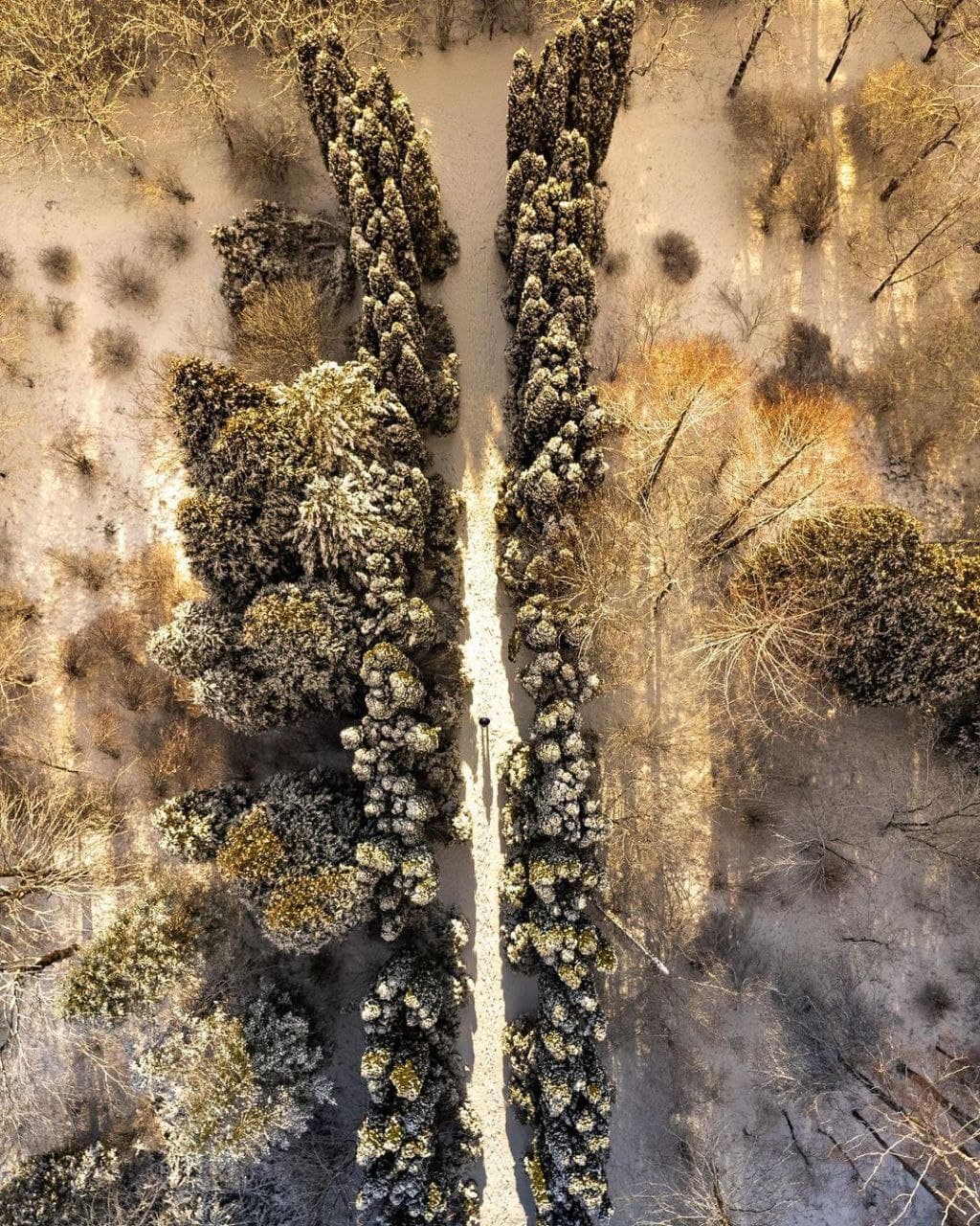 Арборетум у Страдчі.