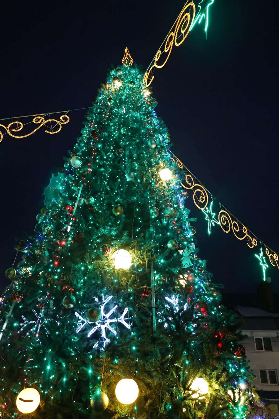 Головна новорічна ялинка Борислава 2021-2022