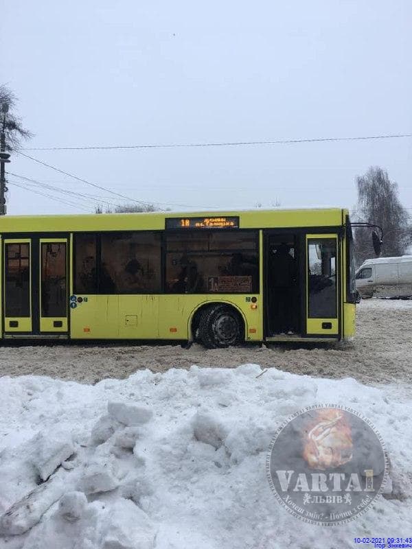 Суворий лютий: хуртовини паралізували Львів  фото 1