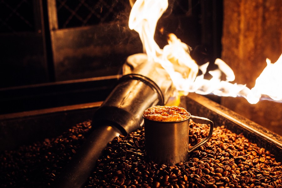 Запаяна кава у Львові – такої, ви ще точно не пробували. Фото: fest.lviv.ua