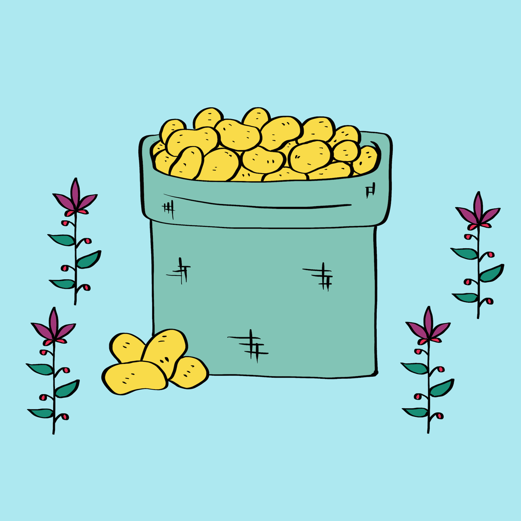 Етно-Люди Півночі і Центру України: всесвітньо відомі гітари і картопляні пригоди