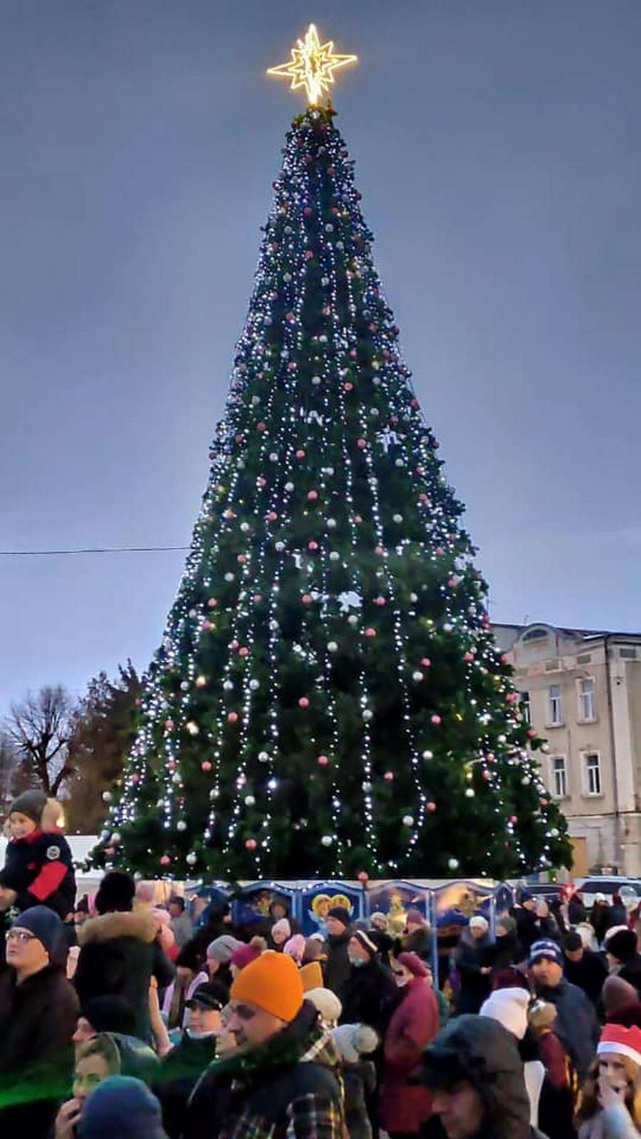 Головна новорічна ялинка Стрия 2021-2022