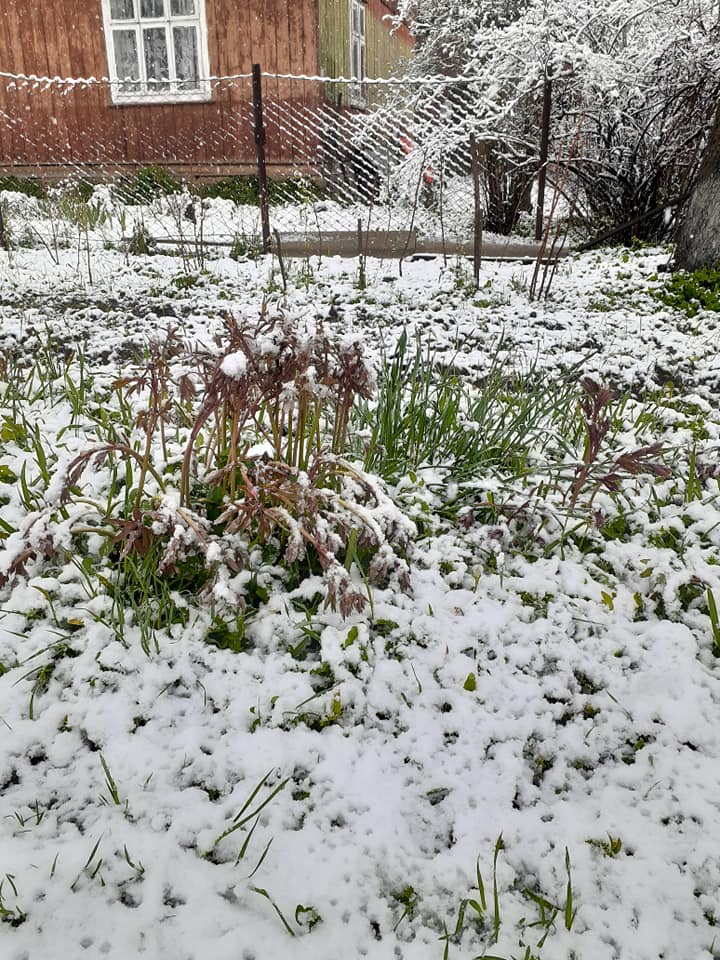 А так вхурделило у Турці. Фото Іван Левко.