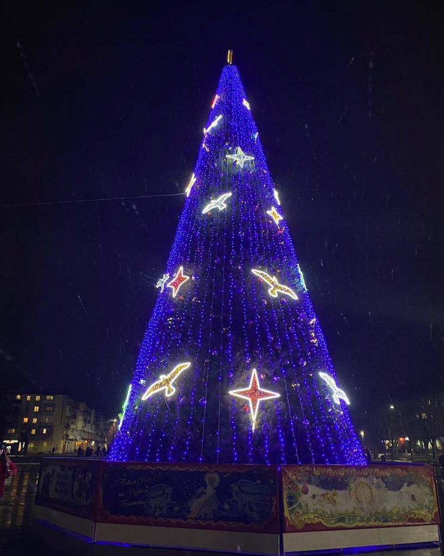 Який вигляд мають новорічні ялинки у різних містах Львівщини  фото 1