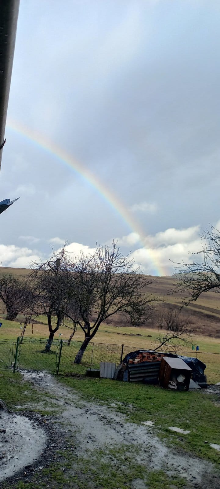 Напередодні Різдва на Львівщині з'явилася велика веселка – хороший знак.