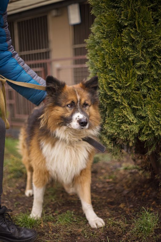 Джейк до "всиновлення".
