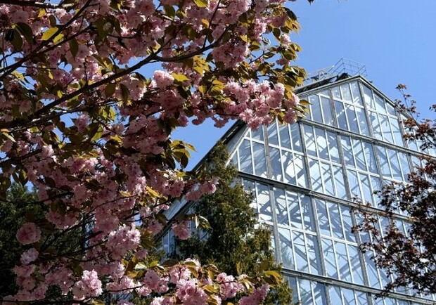 Львівський ботсад запрошує на екскурсії: графік роботи і ціни.