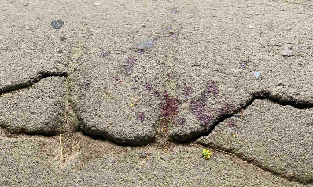 У Трускавці під час гри у хованки дитину вдарило струмом – фото з місця трагедії.