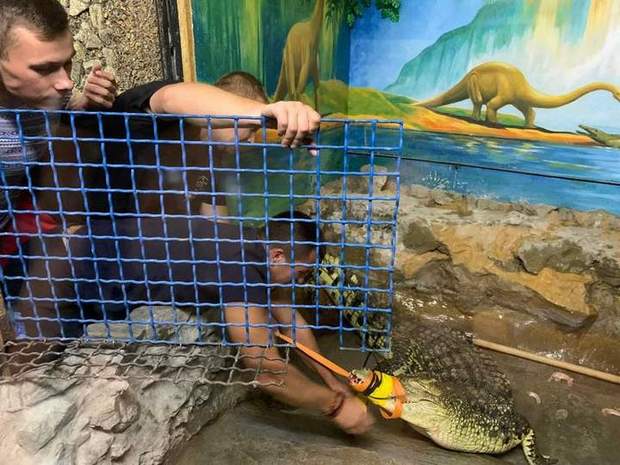 Тепер крокодил із Запорізької дитячої залізниці мешкає у Львові.