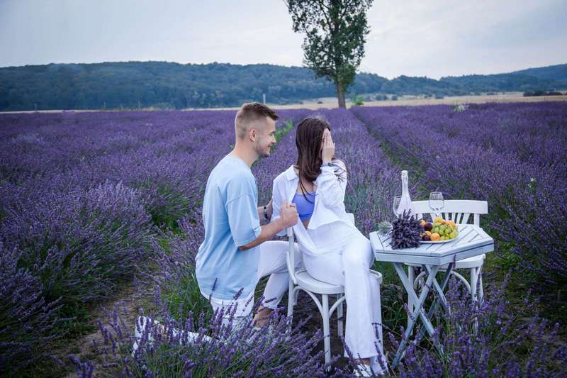 Казкові поля.