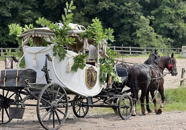 Кінна прогулянка в Каретному дворі.