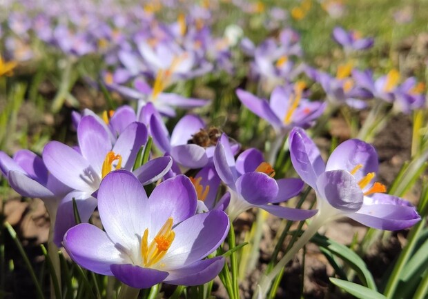 Фото: unsplash.com.