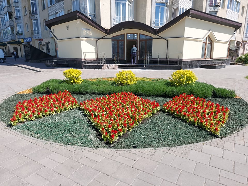 Сихівський район Львова засадили бегоніями та сурфініями. Фото: Львівська міська рада.