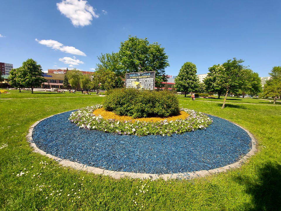 Сихівський район Львова засадили бегоніями та сурфініями. Фото: Львівська міська рада.