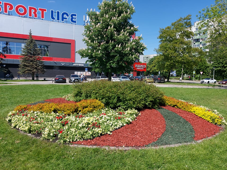 Сихівський район Львова засадили бегоніями та сурфініями. Фото: Львівська міська рада.