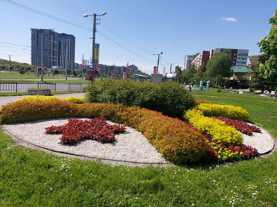 Сихівський район Львова засадили бегоніями та сурфініями. Фото: Львівська міська рада.