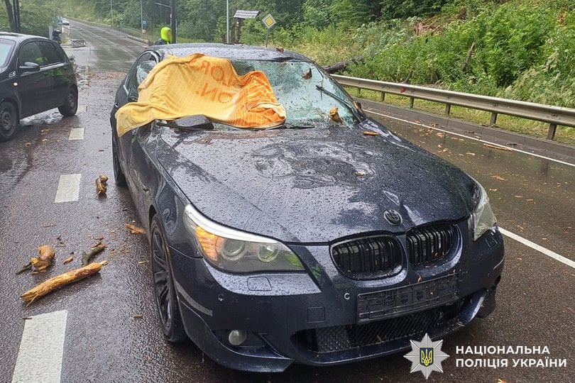 Біля Львова на автомобіль впало дерево, дівчину забрала "швидка": фото.
