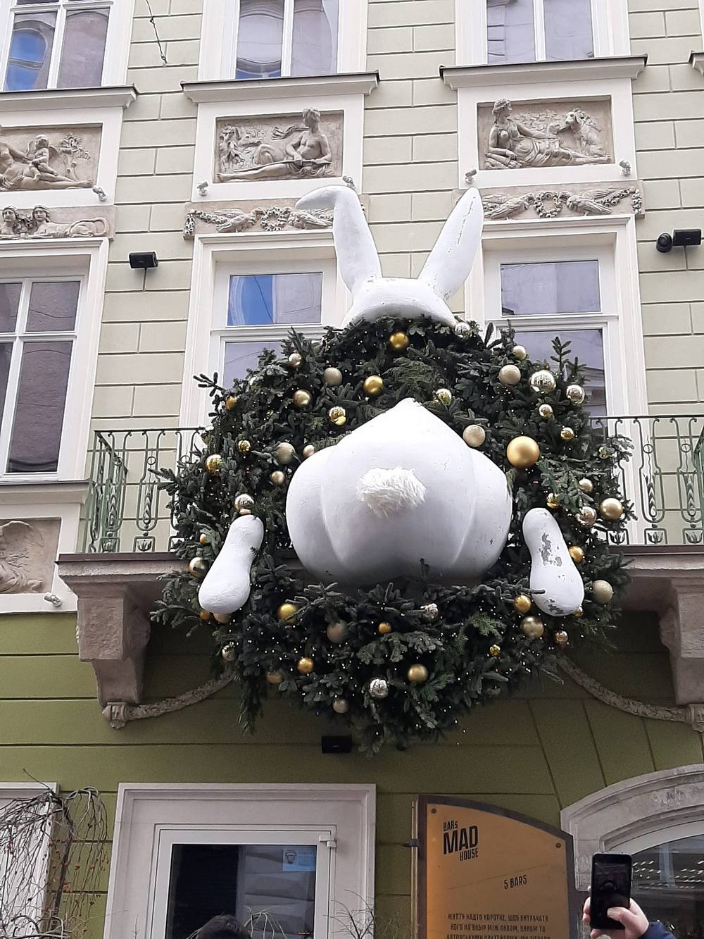 Різдвяний кролик на Шевській.