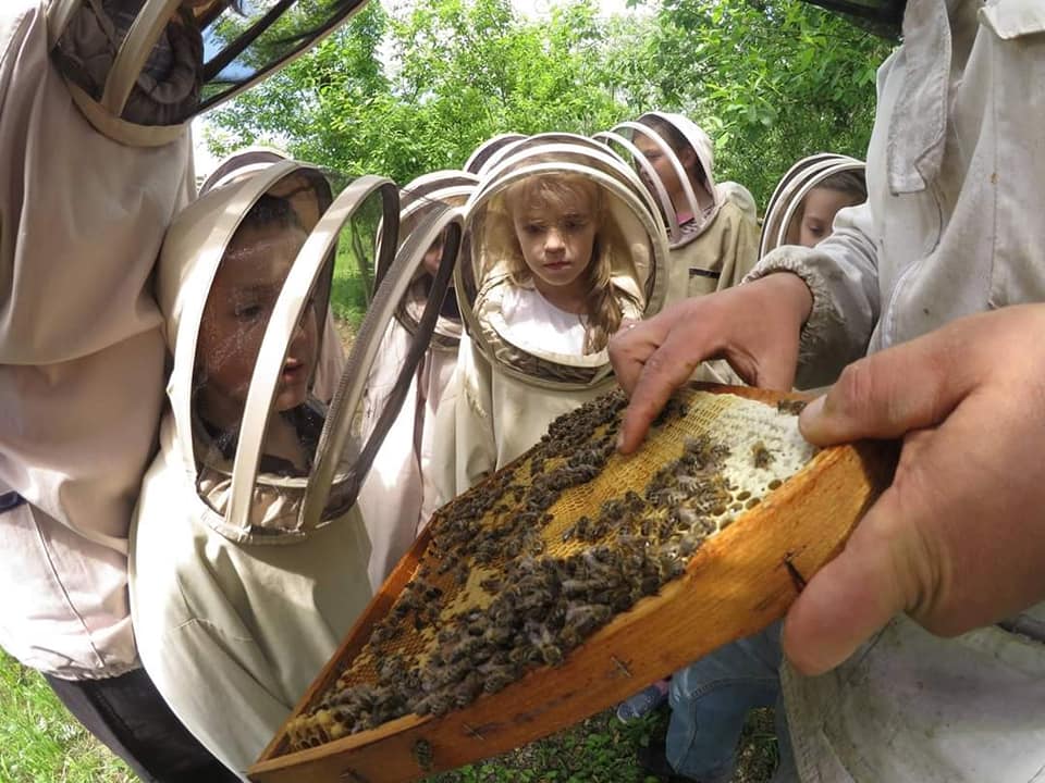 Пасіка Медовий Блюз у селі Луб’яна.