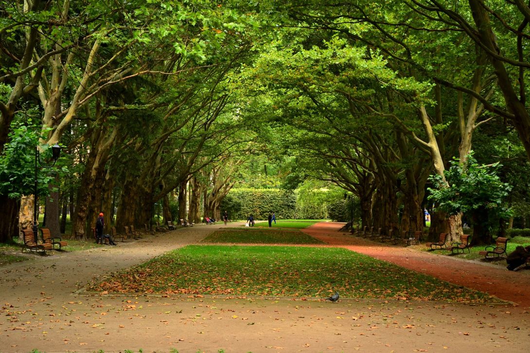 Стрийський парк у Львові.