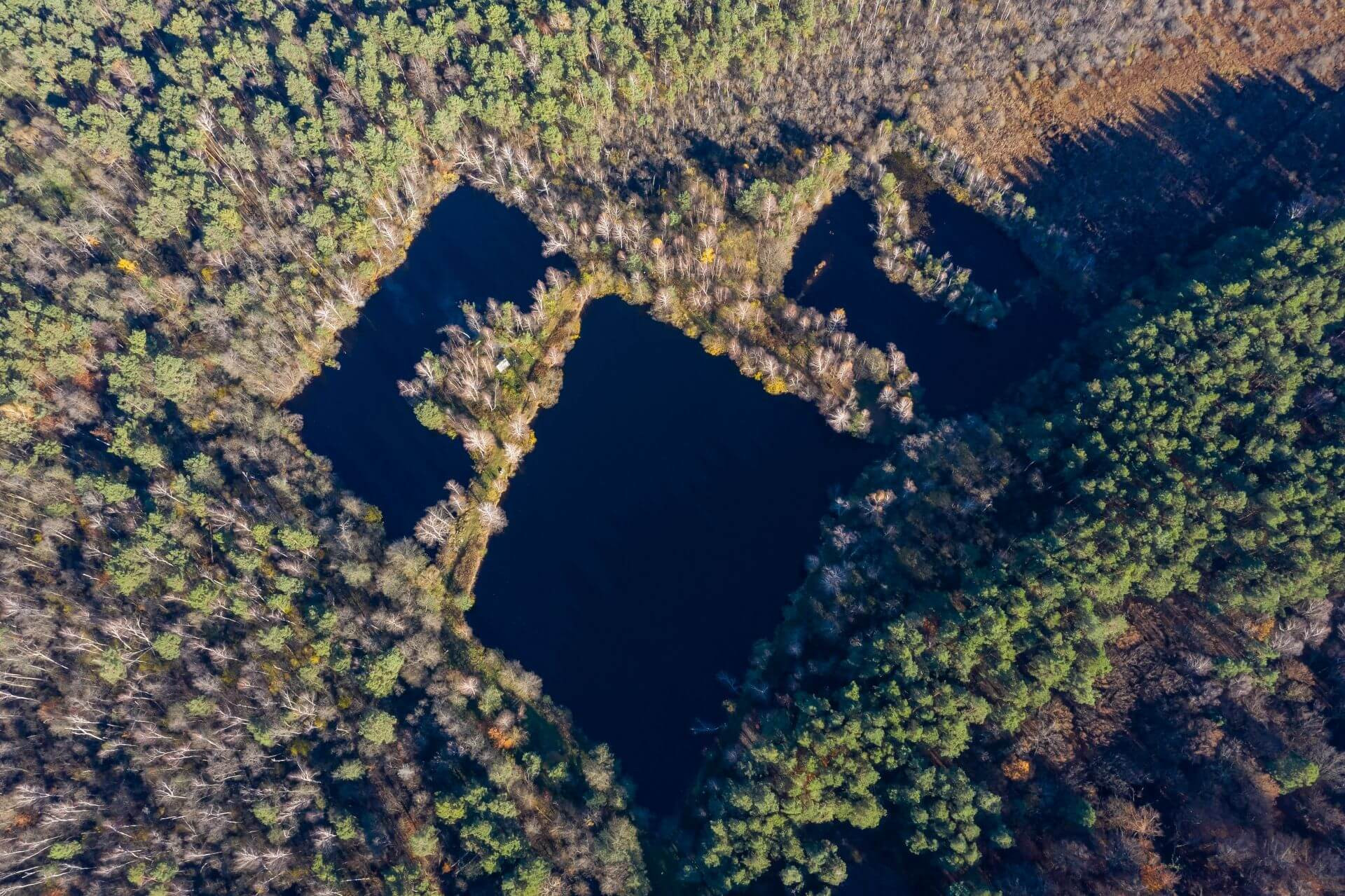 Яворівський національний природний парк.