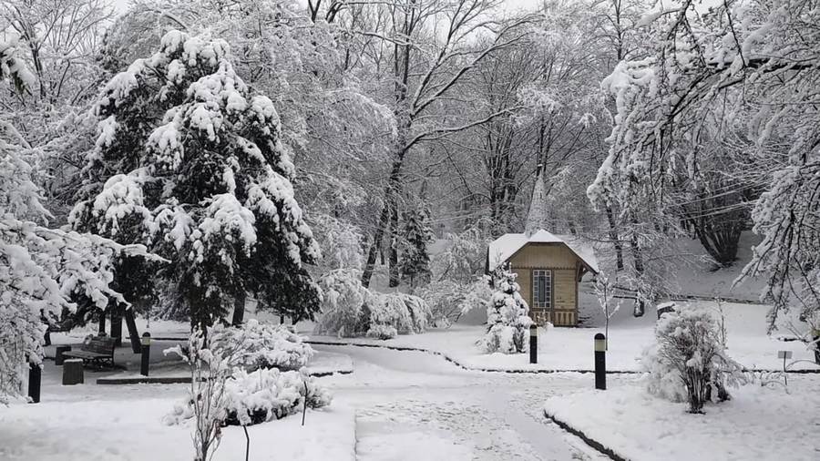 Парк «Адамівка» у Трускавці