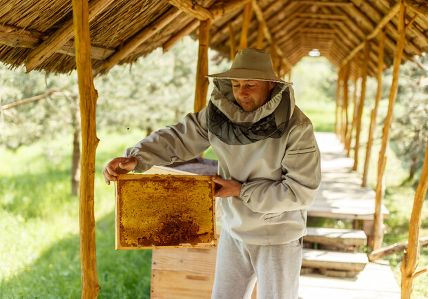Петрова пасіка у Стебнику.