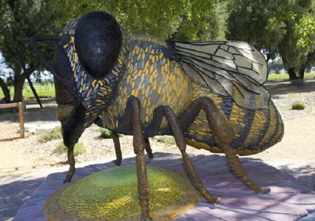 Жу-жу Парк у Львові.