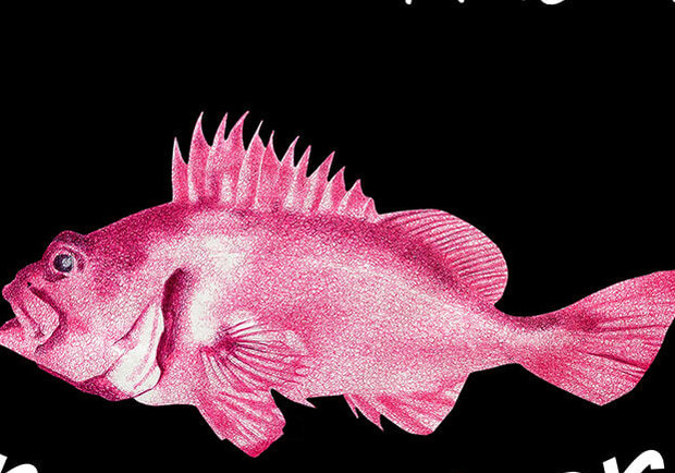 Виставка сучасного мистецтва «Прихисток».