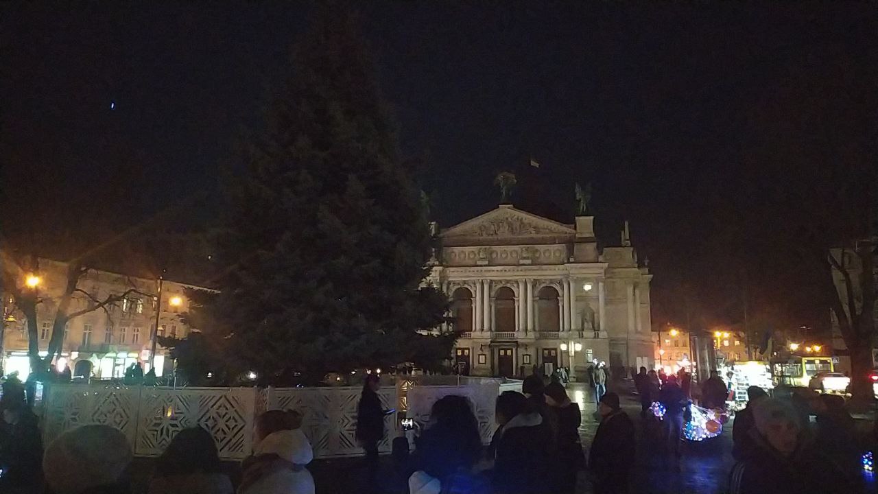 Стало відомо, до якої групи знеструмлення належить головна новорічна ялинка Львова.