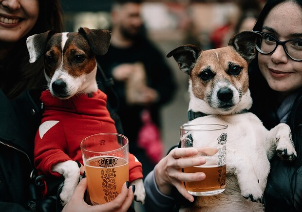 BeerFreak Спешл 2026 &mdash; фестиваль крафтового пива та BBQ.