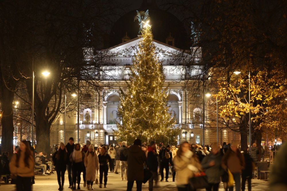 Головна різдвяна ялинка Львова.