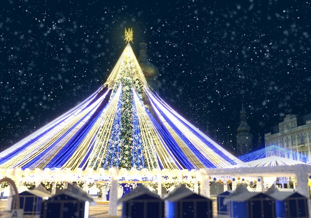 Кияни виступили проти встановлення головної новорічної ялинки.