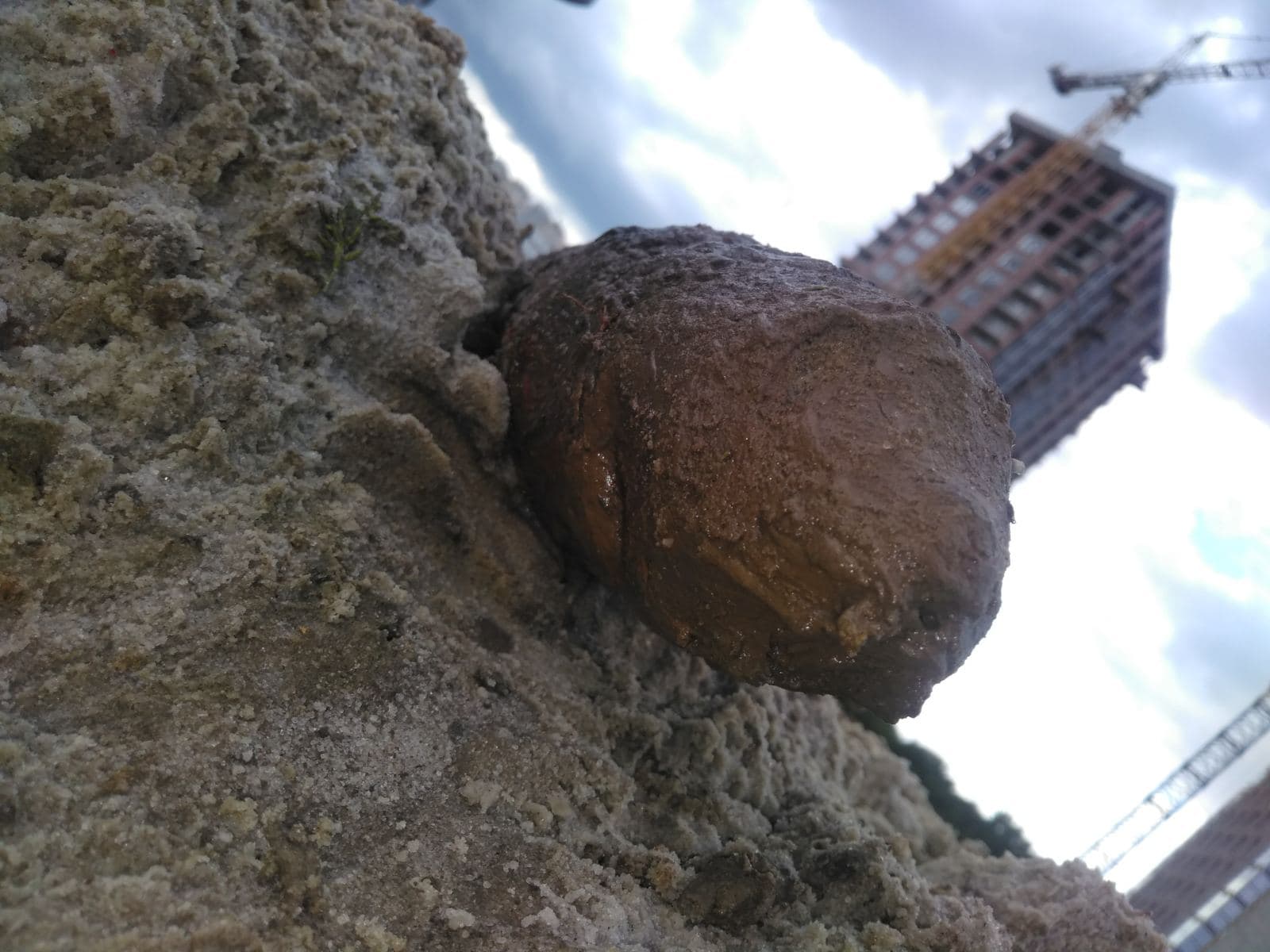 На Сихові виявили артилерійський снаряд. Фото: ДСНС Львівщини