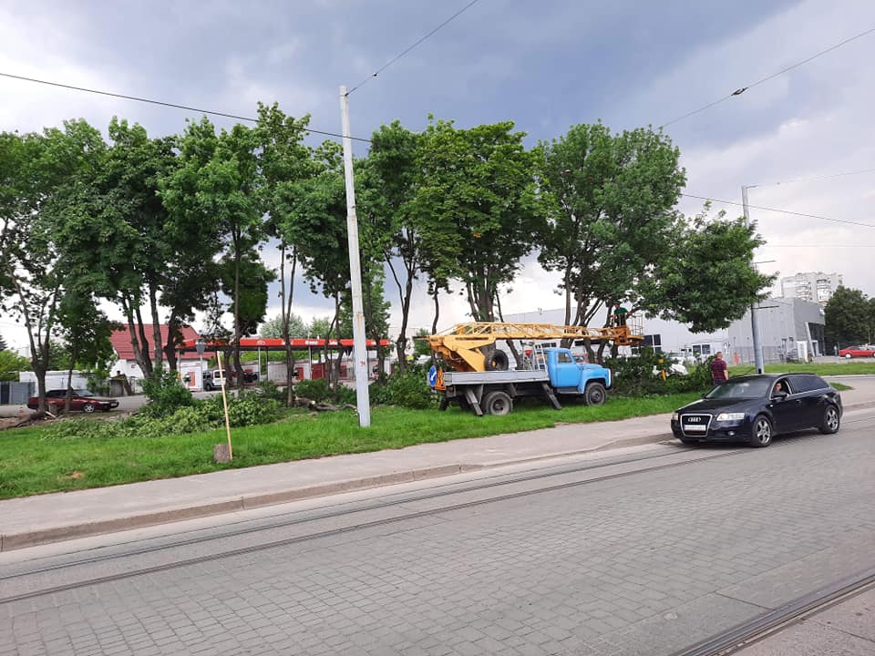 На Промисловій з'явиться вигульний майданчик для собак. Фото: "Лев"