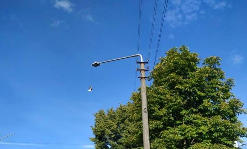 Фото: ДСНС Львівщини