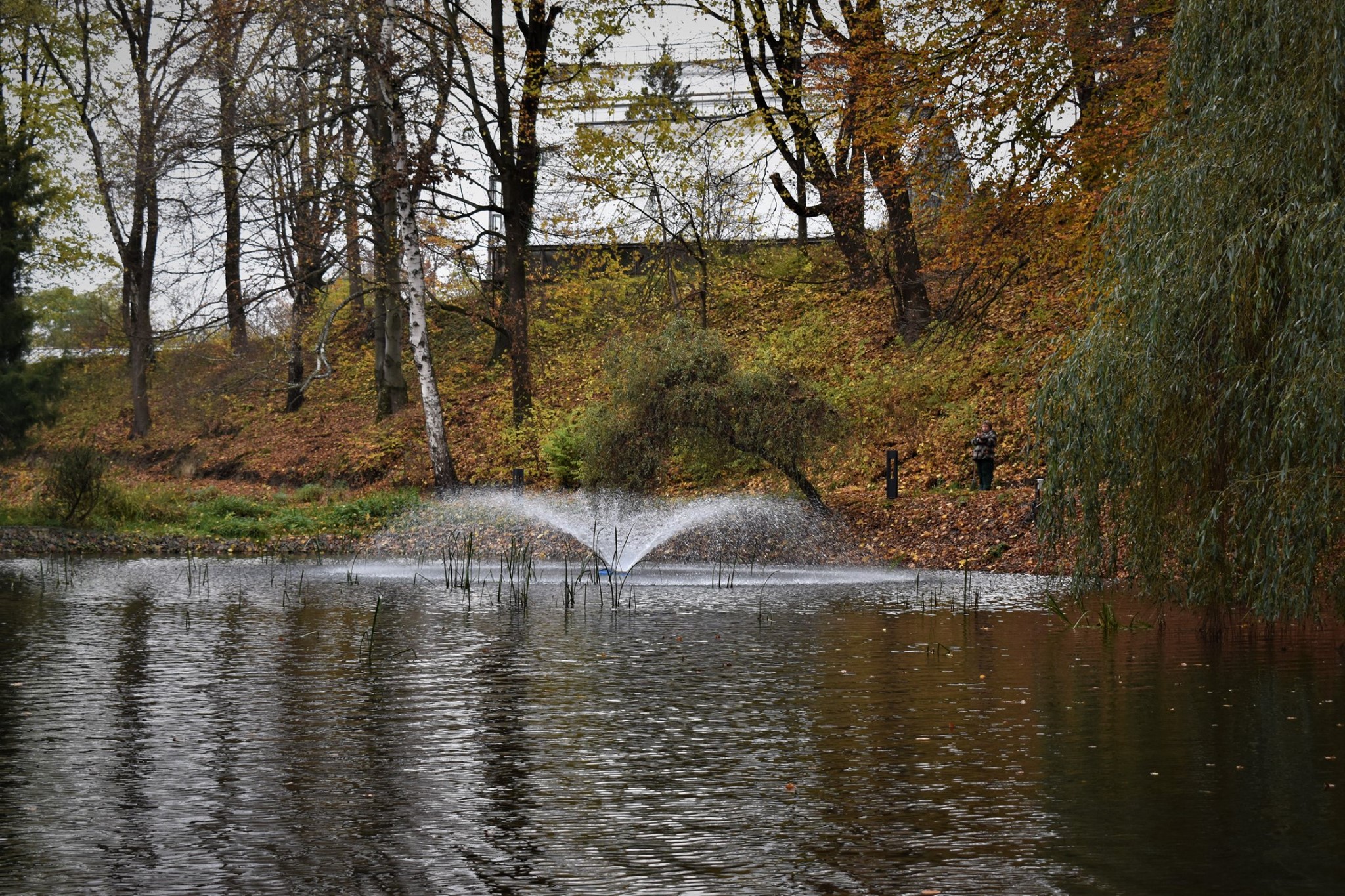 У львівському ботанічному саду реконструювали водойму. Фото: Львівська облдержадміністрація