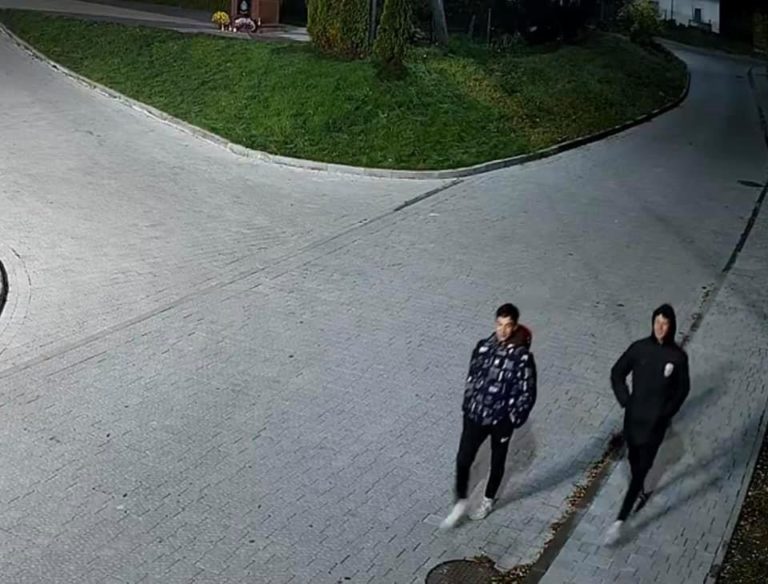 Ванадали пошкодили скульптуру біля озера у Винниках. Фото: скріншот з відео